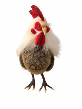 Hansa Roosters